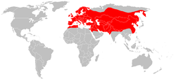 European Otter distribution.png